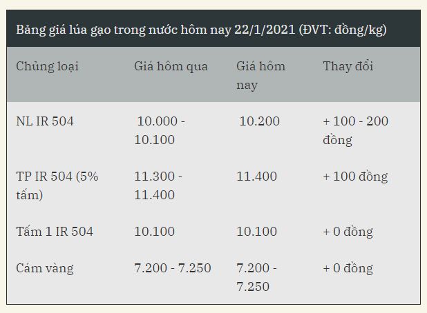 Giá cả thị trường ngày 22/1: Giá gạo giảm nhẹ, giá tiêu có dấu hiệu tăng trở lại - giá gạo